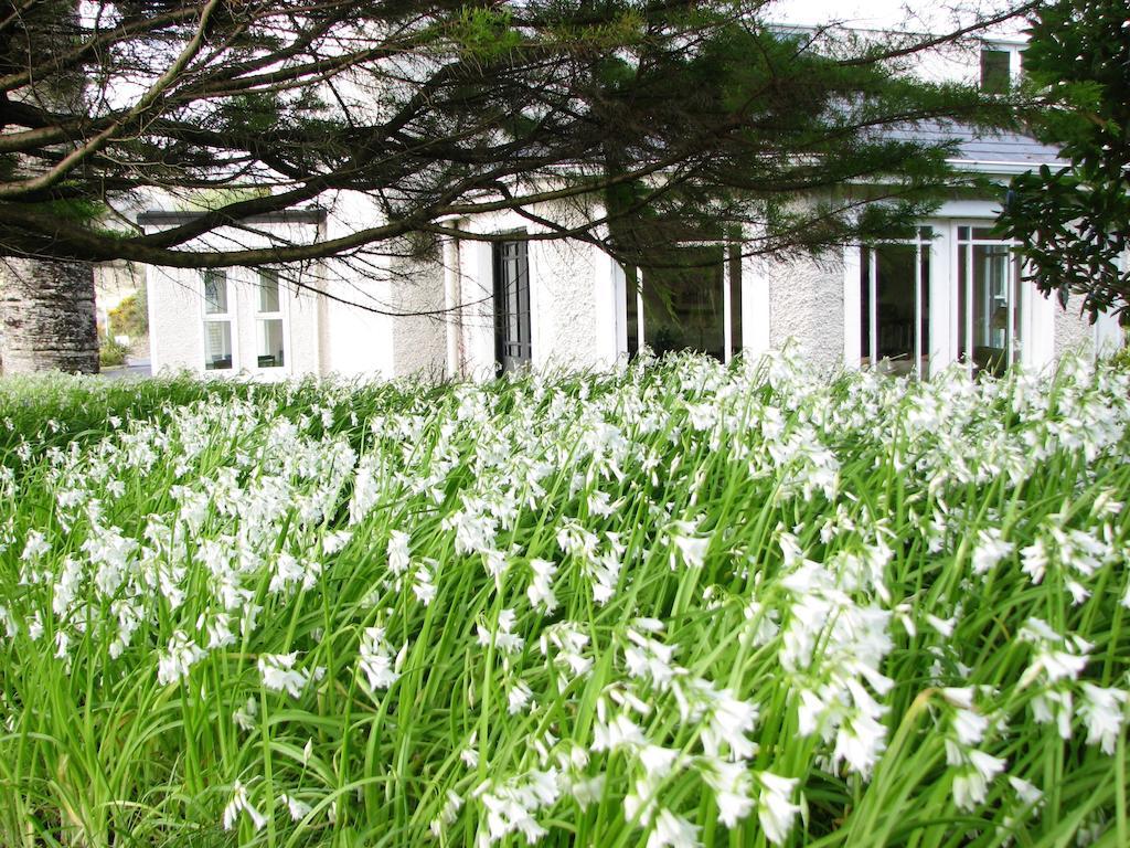 Bed and Breakfast The Convent Leenaun Exterior foto